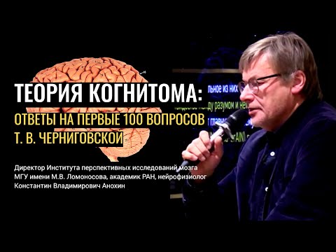 Видео: Теория когнитома: ответы на вопросы. Константин Анохин