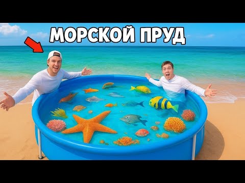 Видео: Мы построили приливной пруд с соленой водой и морскими существами, найденными в прибрежных камнях!