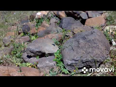 Видео: Авзян Река