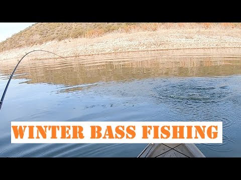 Видео: Отличный день ловли окуня на озере Рузвельт, штат Аризона (зимняя рыбалка на окуня)