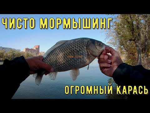 Видео: Мормышинг и огромный карась!
