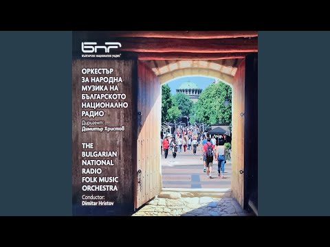 Видео: Сюита (Suite)