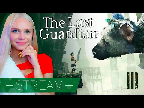 Видео: МОЙ ЛАСКОВЫЙ И НЕЖНЫЙ ЗВЕРЬ 🐾 THE LAST GUARDIAN [прохождение PS5] 🔴 СТРИМ #3