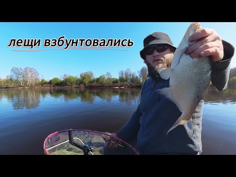 Видео: Лещи взбунтовались! Весенний фидер на КиМ (канал им. москвы)