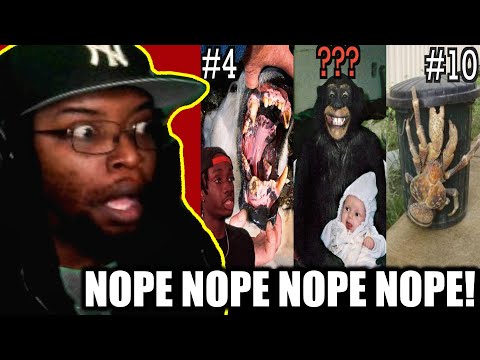 Видео: 10 самых жутких способов, которыми животные могут на вас охотиться [Casual Geographic] DB Reaction