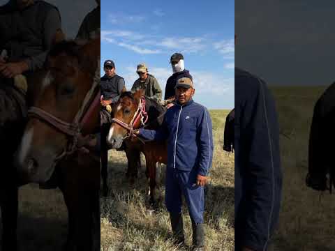 Видео: Ақтөбе облысы, 5-шi дүниежүзілік көшпенділер ойындарына дайындық