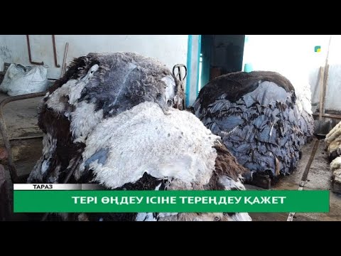 Видео: Тері өңдеу ісіне тереңдеу қажет