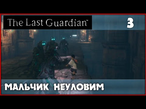 Видео: Комната, в которой едва не произошло страшное [The Last Guardian] PS5 #3