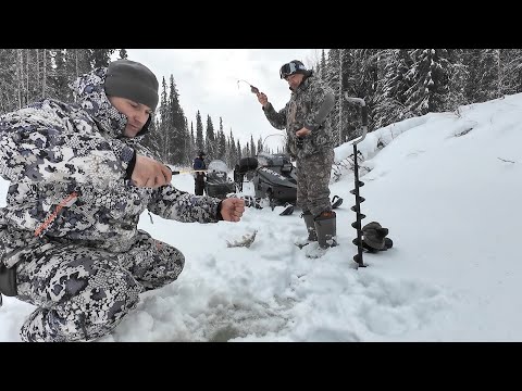 Видео: РЫБАЛКА НА ХАРИУСА НА ТАЕЖНОЙ РЕЧКЕ. ПОПАЛИ НА ХОРОШИЙ КЛЕВ В МЕТЕЛЬ.