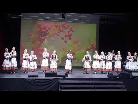 Видео: 1. БНП  "Калі каліна не цвіла".