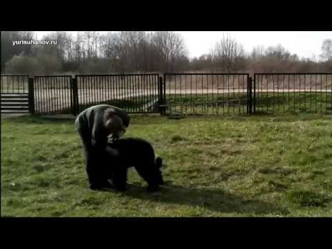 Видео: [Урок 9] Как научить щенка команде ЛЕЖАТЬ