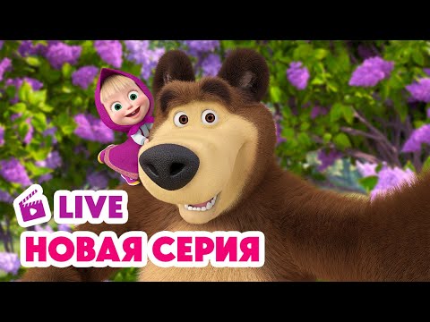 Видео: 🔴 ПРЯМОЙ ЭФИР! LIVE Маша и Медведь💥 НОВАЯ СЕРИЯ 💥 Пикник в сиреневых тонах 🪻🧺📸