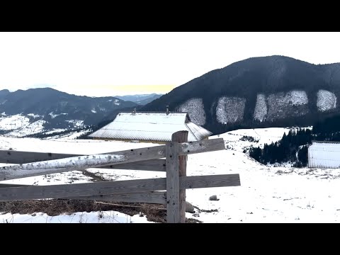 Видео: Поселилися в найвищій хатині у високогірному селі Красник