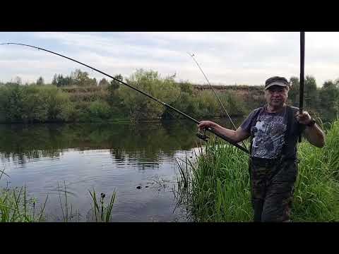 Видео: Последняя рыбалка в жизни этого лета