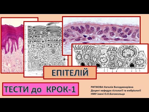 Видео: Крок 1 -  Тести - Епітелій