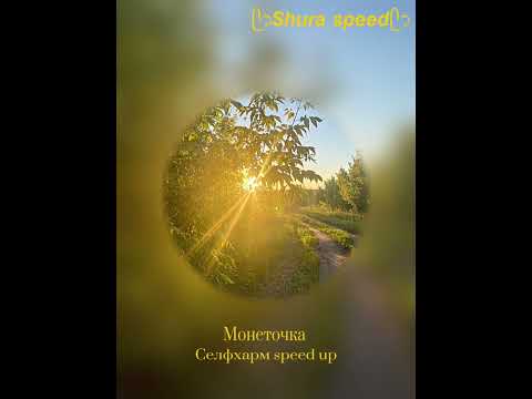 Видео: Монеточка Селфхарм /speed up/