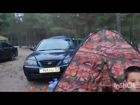 Видео: Шалқар көлі