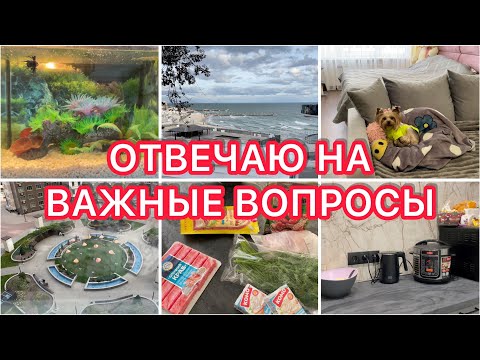 Видео: Отвечаю на важные вопросы😬Поговорим о жизни🤔Ремонт закончен🎉VLOG
