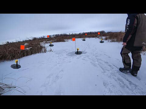 Видео: Взял иностранцев на рыбалку! И начали проверять жерлицы после ночи! Они были в Шоке от результата!