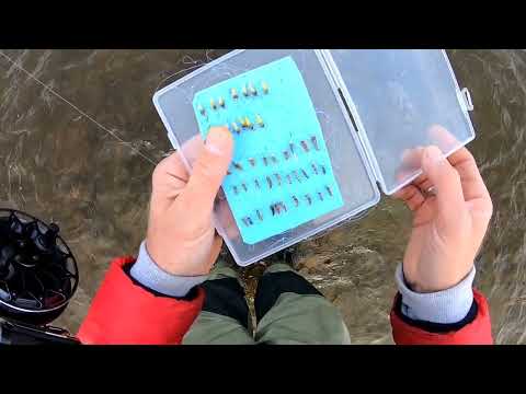 Видео: Бакланы -пришла беда в наши края.