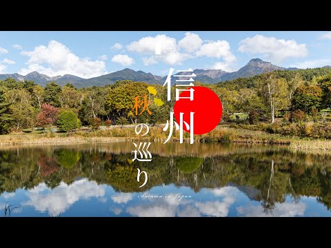 Видео: Истинный дух осени в Японии. Нагано в осенних листьях | Компиляция