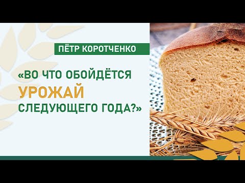 Видео: «Во что обойдётся урожай следующего года?»| Депутат Ставрополья об обратной стороне хлебного рекорда