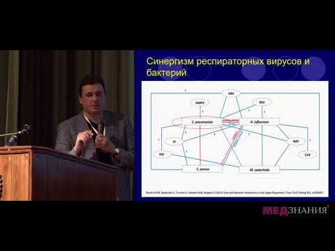 Видео: 12. Особенности патогенетической терапии риносинусита