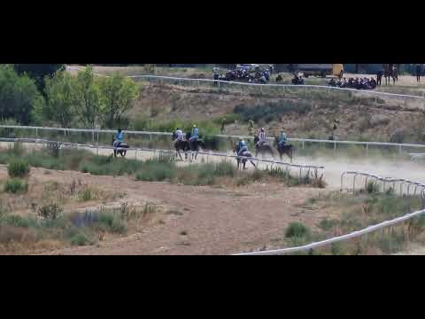 Видео: Жорго Салыш 04 07 2024 Чолпон Ата