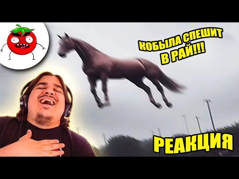 Видео: ▷ ЗАСМЕЯЛСЯ ПРОИГРАЛ | ТЕСТ НА ПСИХИКУ ЧЕЛЕНДЖ | САМЫЕ ЛУЧШИЕ ПРИКОЛЫ | РЕАКЦИЯ