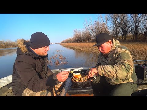 Видео: РЫБАЛКА С КОМФОРТОМ. С ДРУГОМ В ЛОДКЕ ГОТОВИМ И ЛОВИМ РЫБУ. Нашли уютное место, на Волге ветер.