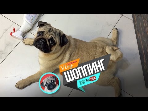 Видео: Chubaka Vlog! Шоппинг