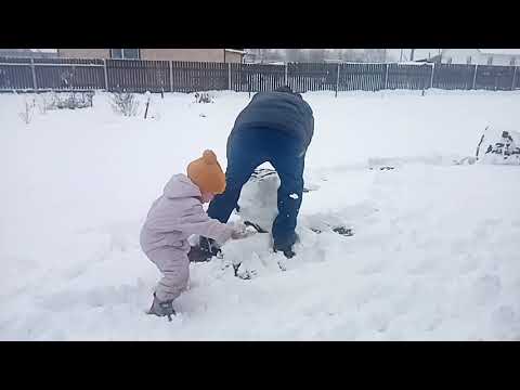 Видео: снежное начало ноября. выпал снег около 10см