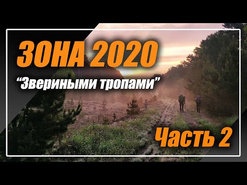 Видео: #ЗОНА2020 Звериными тропами Часть 2