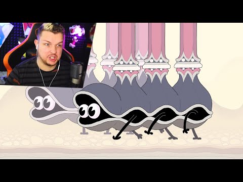 Видео: DOUBLE KING! - Реакция!  Это самое странное что я смотрел!