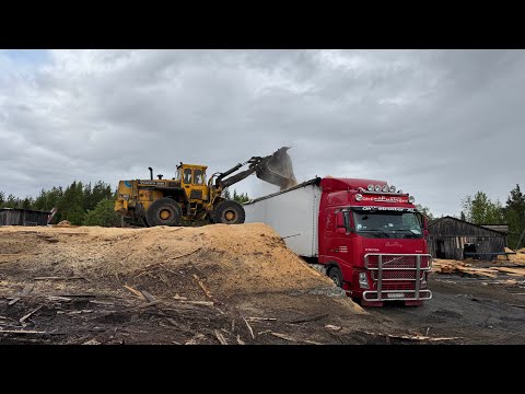 Видео: Рейс с опилками. Забрал Андрюху. Начинаем работу. #moisei #volvo #дальнобой #automobile