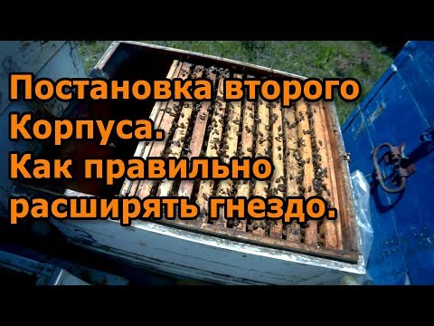 Видео: Постановка второго корпуса. Как правильно расширять гнездо.