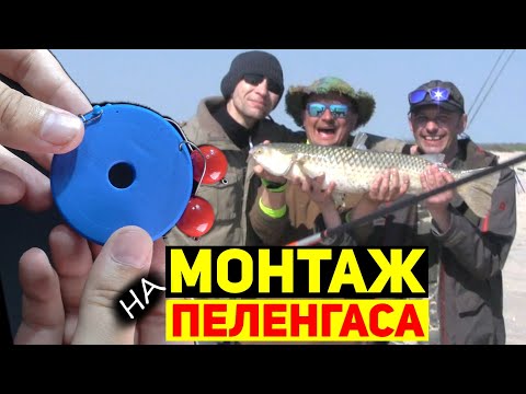 Видео: Уловистый монтаж снасти для Ловли Пеленгаса на два крючка