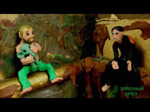 Видео: Зеленый слоник гавновой(пластилиновая анимация)