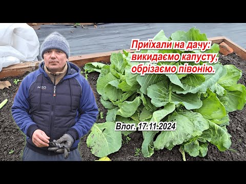 Видео: Листопад на дачі- порізали півонію та спаржу, викидаємо молоду капусту та інше.