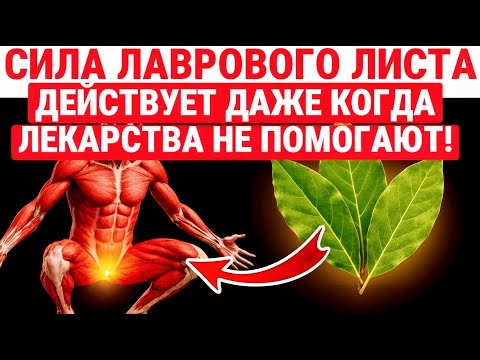Видео: Пейте чай из лаврового листа ЕЖЕДНЕВНО И ПРОСТО НАБЛЮДАЙ РЕЗУЛЬТАТ / ЗДОРОВЬЕ ПОЖИЛЫХ