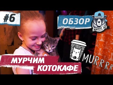 Видео: КОТОКАФЕ МУРЧИМ в Новосибирске - Вкусное печенье, чай, добрые коты | МИНУС 40