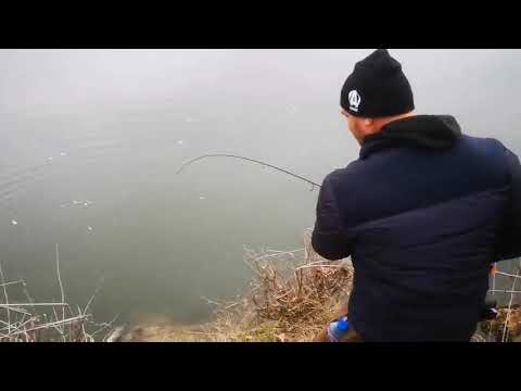 Видео: 24 октомври 2025 г.