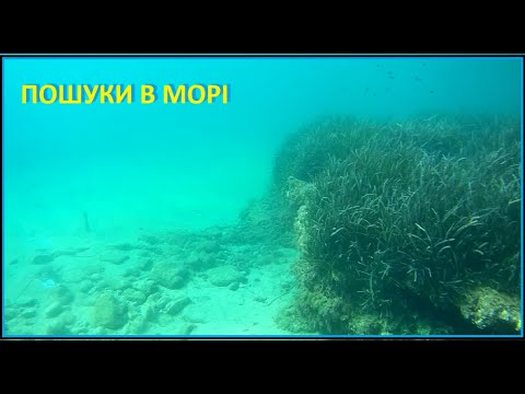 Видео: Морська краса та чуть знахідок. В пошуках золота.  Searching for gold in the sea. Beautiful seabed.