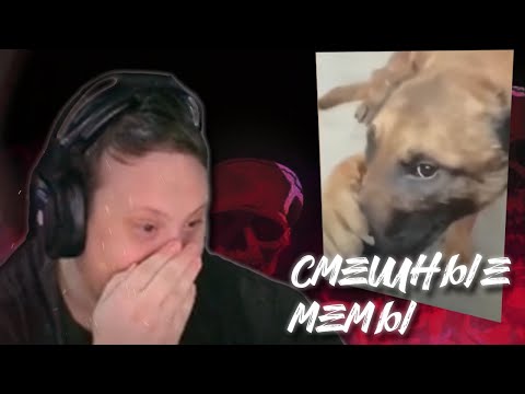Видео: DADEGY СМОТРИТ: СМЕШНЫЕ ВИДЕО В ЮТУБЕ | Реакция