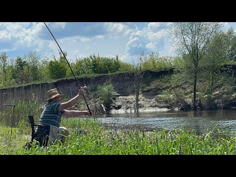 Видео: Фідер на р.Горинь. Рибалка на фідер в травні.