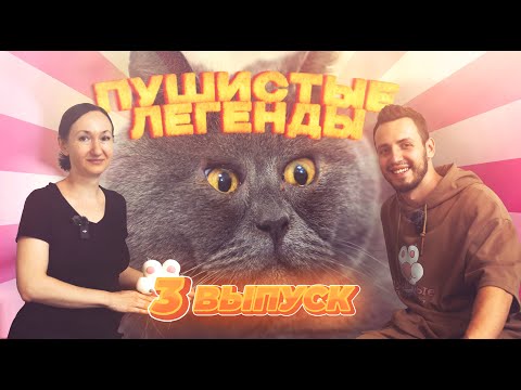 Видео: Пушистые легенды - Федя кот (Fedja_kot) Выпуск 3