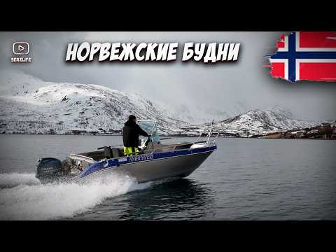 Видео: Подняли ЛОДКИ а там Эмульсия! Довольные Немцы на Рыболовной базе! (Ep 4)