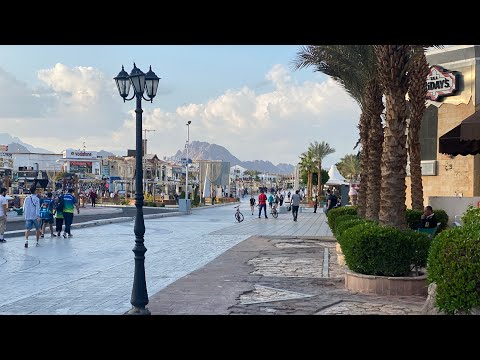 Видео: ШОК‼️ТРОЙКА ЗА КОПЕЙКИ / KANABISH HOTEL  3* /