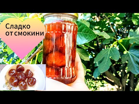Видео: Сладко от зрели смокини
