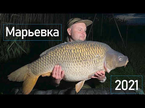 Видео: Карпфишинг на Марьевке! Знакомство с озером и его обитателями! На что клюёт карп?